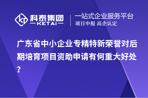 广东省中小企业专精特新荣誉对后期培育项目资助申请有何重大好处？