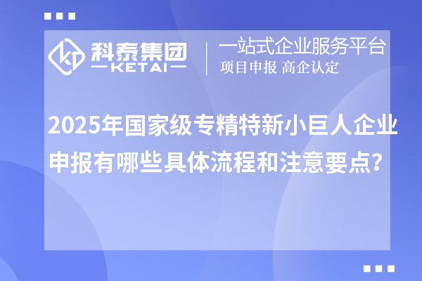 2025年国家级专精特新<a href=http://m.1ys1w.cn/zjtx/ target=_blank class=infotextkey>小巨人企业申报</a>有哪些具体流程和注意要点？