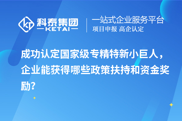 成功认定国家级专精特新小巨人，企业能获得哪些政策扶持和资金奖励？