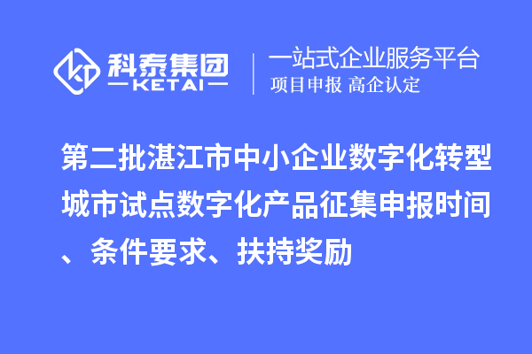 第二批湛江市中小企业数字化转型城市试点数字化产品征集申报时间、条件要求、扶持奖励