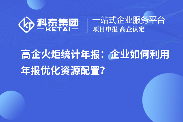 高企火炬统计年报:企业如何利用年报优化资源配置?