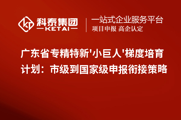 广东省专精特新'小巨人'梯度培育计划:市级到国家级申报衔接策略