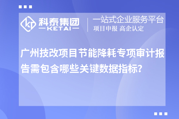 广州技改项目节能降耗专项审计报告需包含哪些关键数据指标?