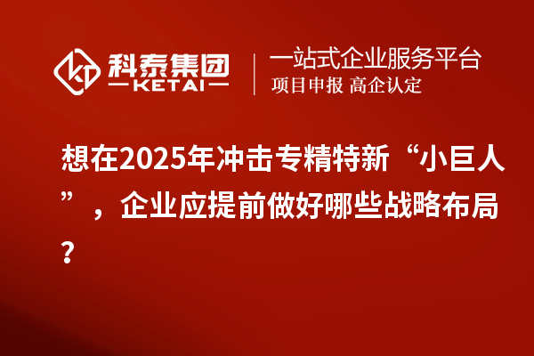 想在2025年冲击专精特新 “小巨人”，企业应提前做好哪些战略布局？