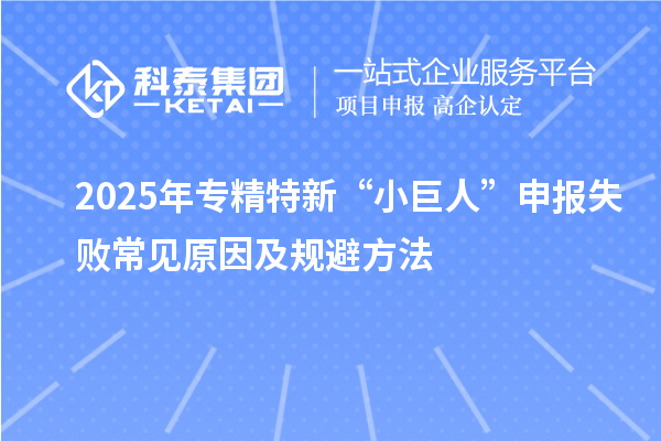 2025年专精特新“小巨人”申报失败常见原因及规避方法