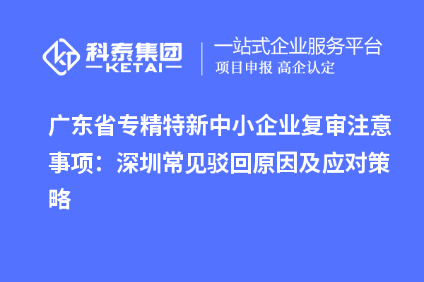 广东省专精特新中小企业复审注意事项:深圳常见驳回原因及应对策略