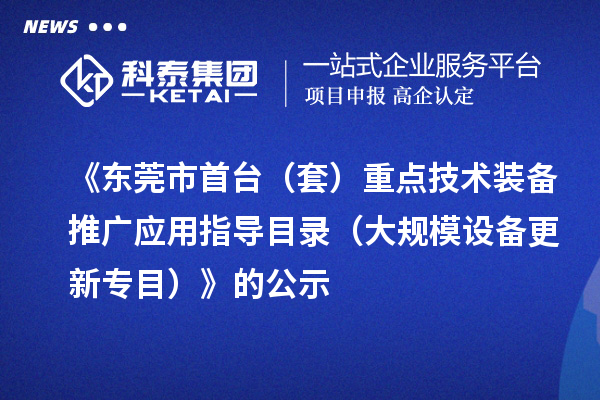 《东莞市首台(套)重点技术装备推广应用指导目录(大规模设备更新专目)》的公示