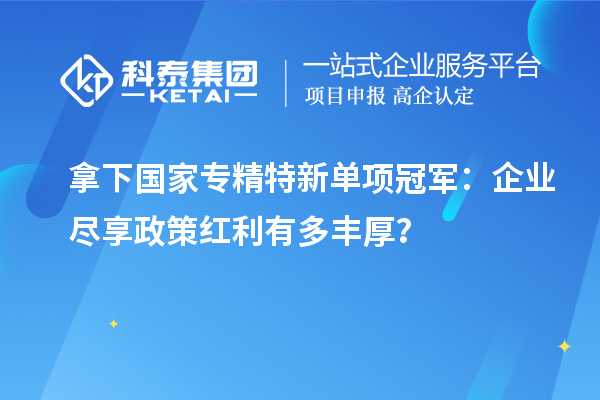 拿下国家专精特新单项冠军：企业尽享政策红利有多丰厚？