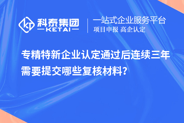 专精特新企业认定通过后连续三年需要提交哪些复核材料？