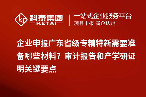 企业申报广东省级专精特新需要准备哪些材料?审计报告和产学研证明关键要点