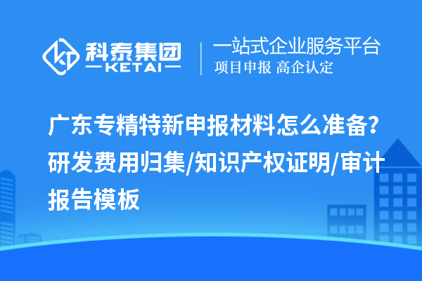 广东专精特新申报材料怎么准备?研发费用归集/知识产权证明/审计报告模板