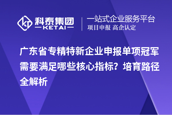 广东省专精特新企业申报单项冠军需要满足哪些核心指标？培育路径全解析