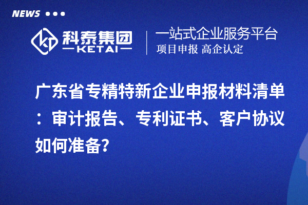 广东省专精特新企业申报材料清单：审计报告、专利证书、客户协议如何准备？