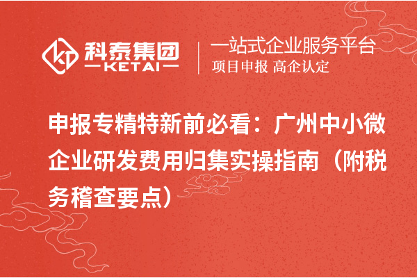 申报专精特新前必看:广州中小微企业研发费用归集实操指南(附税务稽查要点)