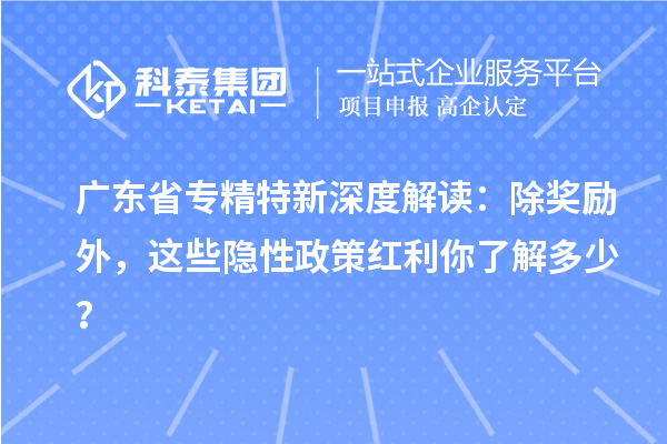 广东省专精特新深度解读：除奖励外，这些隐性政策红利你了解多少？