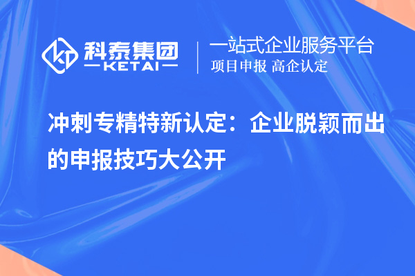 冲刺专精特新企业:企业脱颖而出的申报技巧大公开