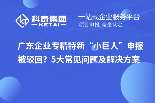 广东企业专精特新“小巨人”申报被驳回?5大常见问题及解决方案