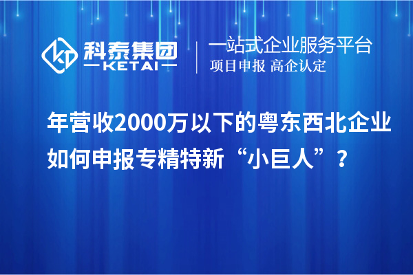年营收2000万以下的粤东西北企业如何申报专精特新“小巨人”？