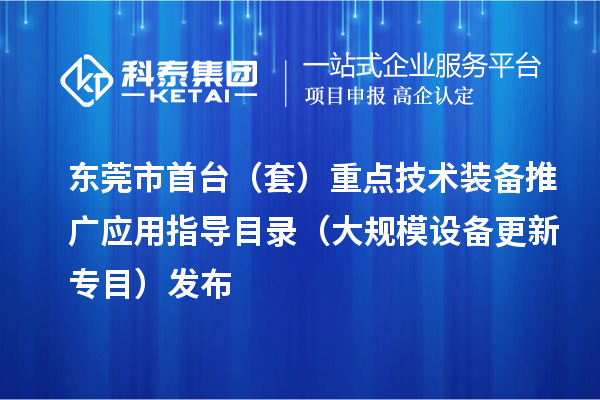 东莞市首台(套)重点技术装备推广应用指导目录(大规模设备更新专目)发布