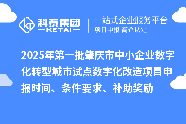 2025年第一批肇庆市中小企业数字化转型城市试点数字化改造项目申报时间、条件要求、补助奖励