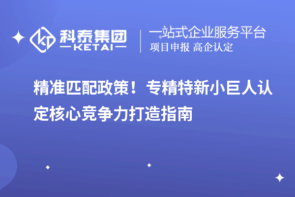 精准匹配政策！专精特新小巨人认定核心竞争力打造指南