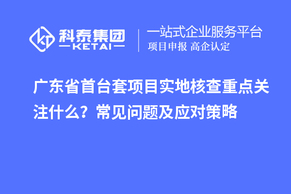 广东省首台套项目实地核查重点关注什么?常见问题及应对策略