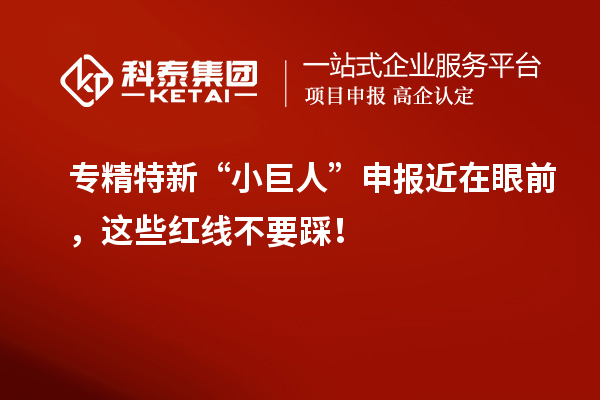 专精特新“小巨人”申报近在眼前，这些红线不要踩！