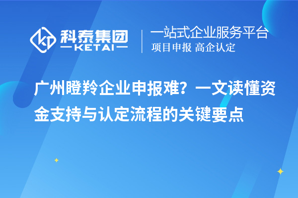广州瞪羚企业申报难？一文读懂资金支持与认定流程的关键要点