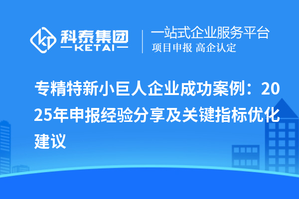 专精特新小巨人企业成功案例:2025 年申报经验分享及关键指标优化建议