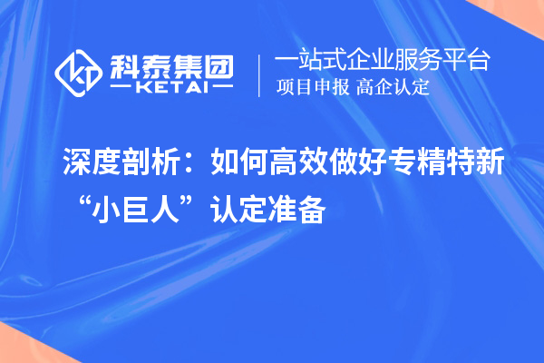 深度剖析:如何高效做好专精特新“小巨人”认定准备