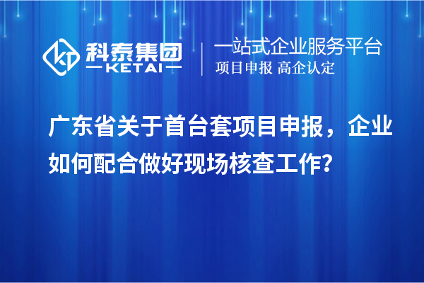 广东省关于首台套项目申报，企业如何配合做好现场核查工作？