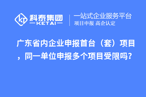 广东省内企业申报首台（套）项目，同一单位申报多个项目受限吗？