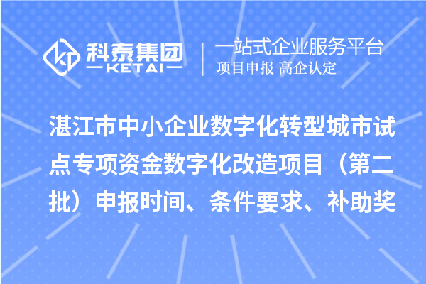 湛江市中小企业数字化转型城市试点专项资金数字化改造项目（第二批）申报时间、条件要求、补助奖励