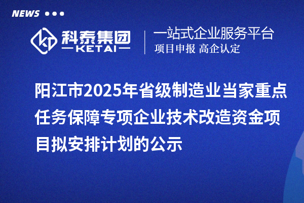 阳江市2025年省级制造业当家重点任务保障专项企业技术改造资金项目拟安排计划的公示