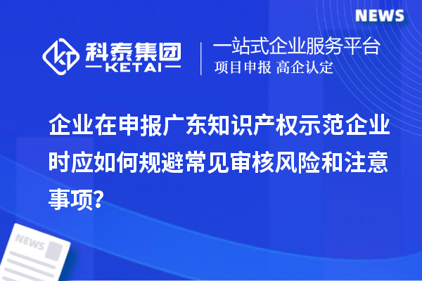 企业在申报广东知识产权示范企业时应如何规避常见审核风险和注意事项？