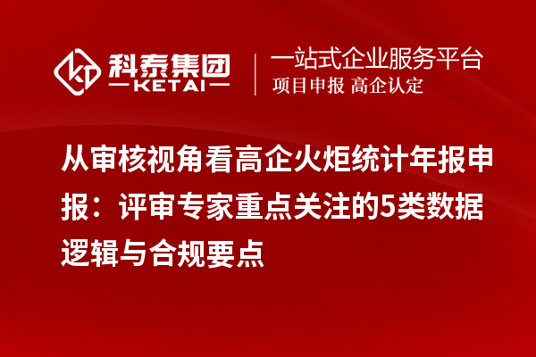 从审核视角看高企火炬统计年报申报:评审专家重点关注的5类数据逻辑与合规要点