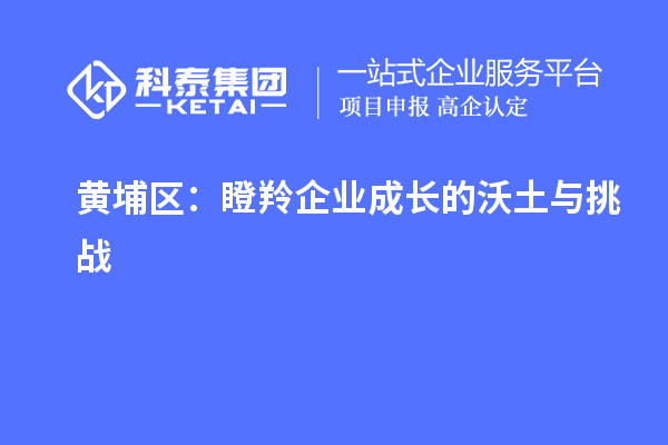 黄埔区:瞪羚企业成长的沃土与挑战