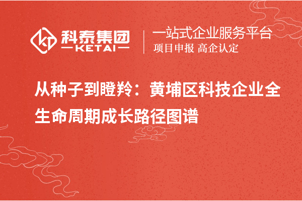 从种子到瞪羚：黄埔区科技企业全生命周期成长路径图谱