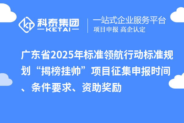 广东省2025年标准领航行动标准规划“揭榜挂帅”项目征集申报时间、条件要求、资助奖励