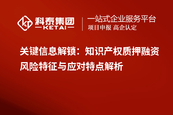 关键信息解锁:知识产权质押融资风险特征与应对特点解析