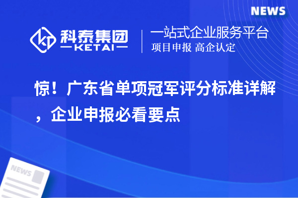 惊！广东省单项冠军评分标准详解，企业申报必看要点