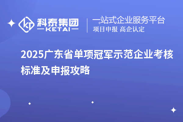 2025广东省单项冠军示范企业考核标准及申报攻略