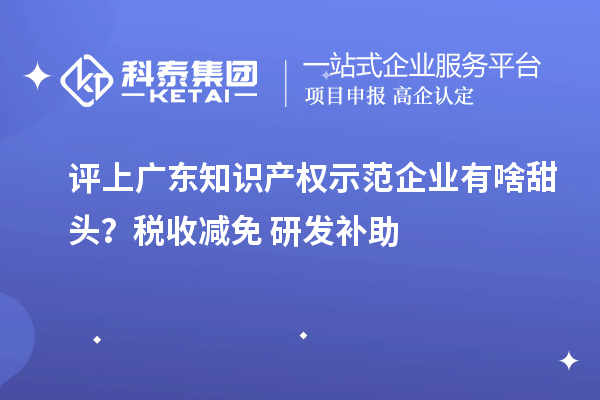评上广东知识产权示范企业有啥甜头?税收减免+研发补助