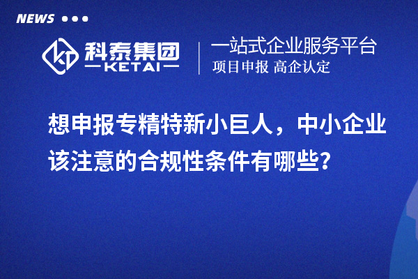 想申报专精特新小巨人，中小企业该注意的合规性条件有哪些？