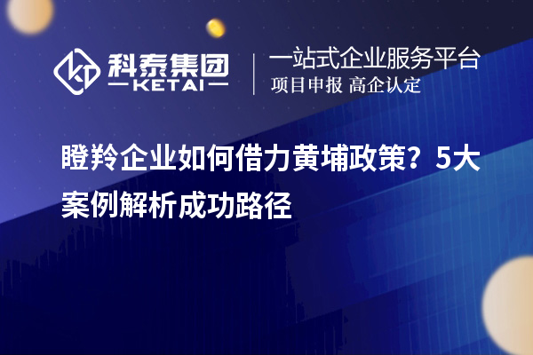 瞪羚企业如何借力黄埔政策？5大案例解析成功路径