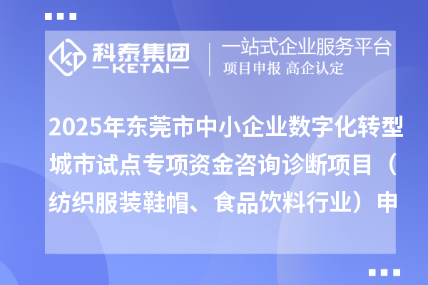 2025年东莞市中小企业数字化转型城市试点专项资金咨询诊断项目（纺织服装鞋帽、食品饮料行业）申报条件要求、资助奖励