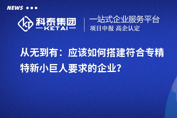 从无到有：应该如何搭建符合专精特新小巨人要求的企业？
