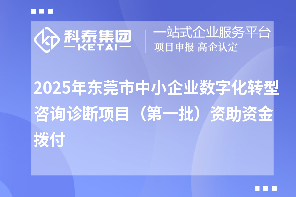 2025年东莞市中小企业数字化转型咨询诊断项目(第一批)资助资金拨付