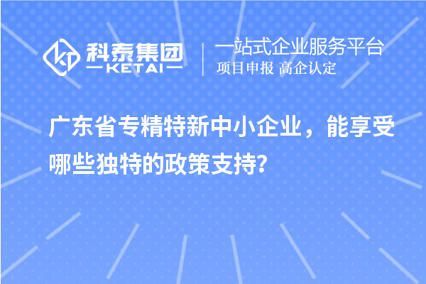 广东省专精特新中小企业，能享受哪些独特的政策支持？