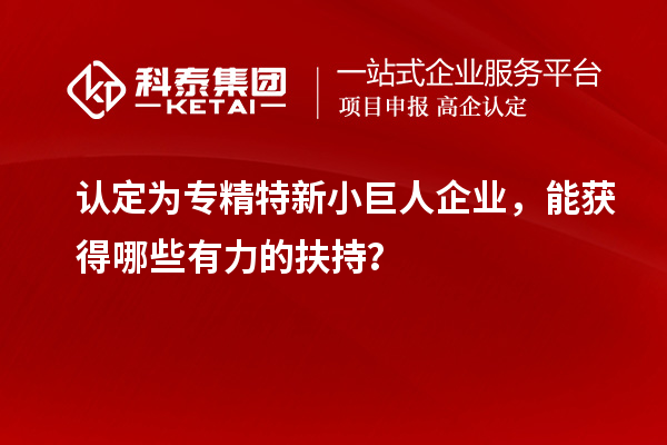 认定为专精特新小巨人企业，能获得哪些有力的扶持？